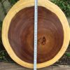 bàn tròn gỗ me tay nguyên tấm 60cm